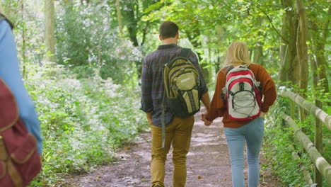 rear view of mature and mid adult couples in countryside hiking along path through forest together