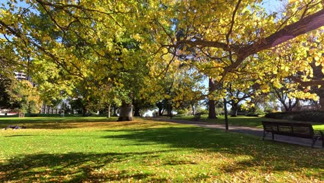 bright, sunny day in melbourne's flagstaff gardens