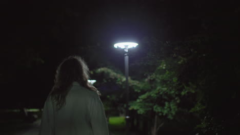 rear view woman walking in open park at night under bright lamp glow, curly hair gently illuminated, trees forming quiet backdrop, calm ambiance enveloping path