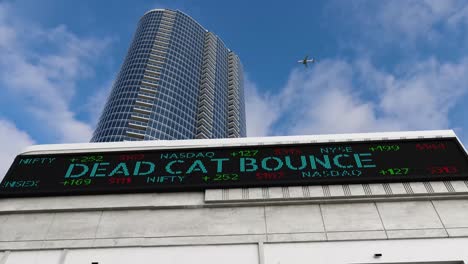 dead cat bounce stock market board