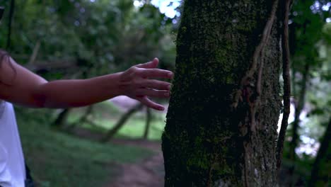 Close-up-hand-touching-tree