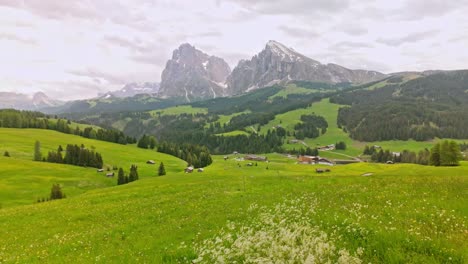 alpine meadow grasses blowing in dolomite mountain breeze. seiser alm