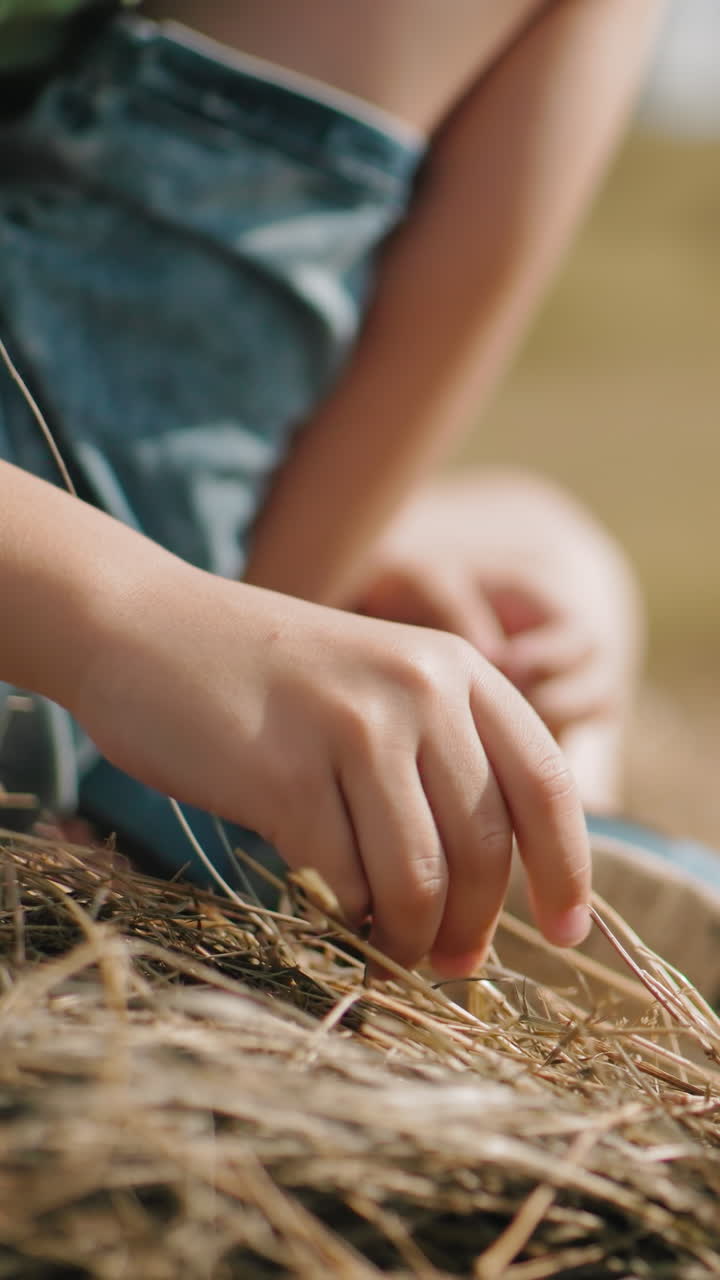 primer plano de las piernas del niño descansando en la bala de heno en el campo, usando sandalias casuales, el niño sostiene un pequeño pedazo de hierba mientras disfruta de un momento pacífico al aire libre en un clima cálido de verano bajo un cielo azul