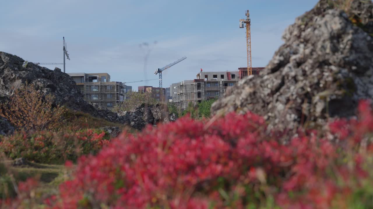 осенние цвета в конце сентября