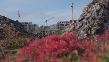 colores de otoño a finales de septiembre