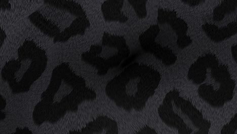 panther fur 4k animated texture loop.