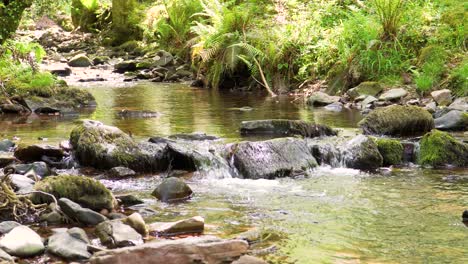vista de 4k de un poco de agua dulce que fluye por el río horner en los bosques de horner en medio del parque nacional de exmoor, 30ffs