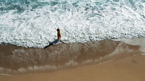 toma aerea de la chica en la playa