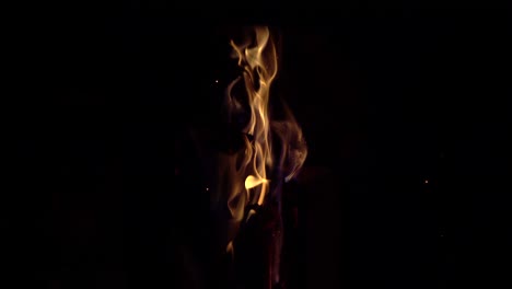 leña quemándose en la chimenea.