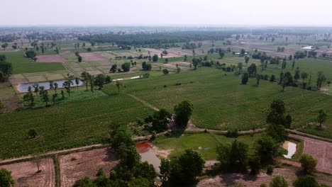 Flight-over-cultivated-areas-during-the-dry-season-in-Thailand