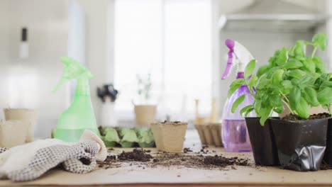 Close-up-of-garden-equipment-with-sprinklers-with-water-and-plants-of-basil-on-table-in-kitchen