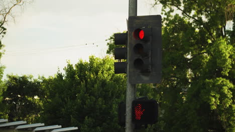 semáforos que cambian de color de verde a rojo con árboles verdes en el fondo