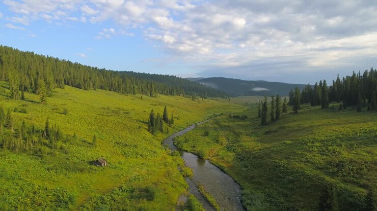 воздушный вид спокойной реки, извилистой через зеленую долину
