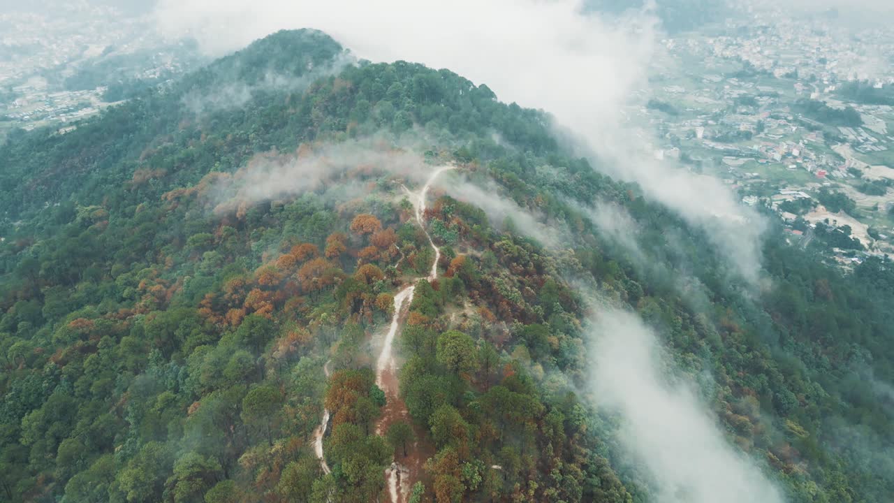 Aerial View of a Misty Forest Mountain with a Winding Path