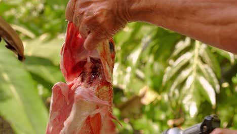 Nördlicher-Red-Snapper-Fisch-Als-Nahrung---Nahaufnahme