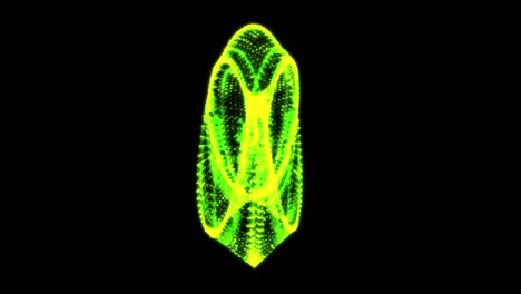anello a striscia mobius geometria sacra. figura spaziale con superfici capovolte. illusione ottica con doppio contorno circolare. telaio a filo a bassa rete polimetrica