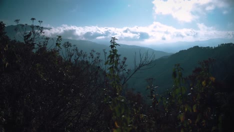 A-canyon-in-Mexico-with-vegetation-in-the-foreground