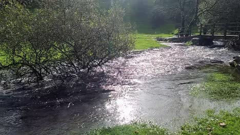 Untergetauchte-Bäume-In-überquellendem-Flussufer-überschwemmen-Friedliche,-Sonnendurchflutete-Wiese-Im-Norden-Von-Wales,-Zeitlupe