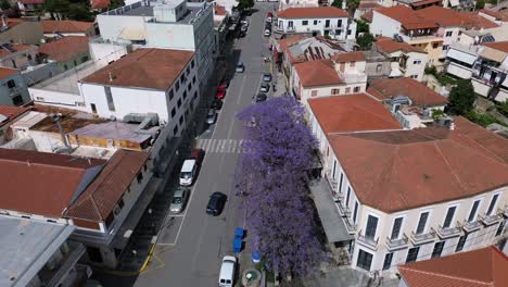 Aerial push in establishing footage, high angle view of road with beautiful purple Jacaranda trees, tilt up reveal metropolitan Ipapanti church at Kalamata historical centre 4K