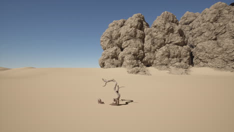 árbol muerto en el desierto