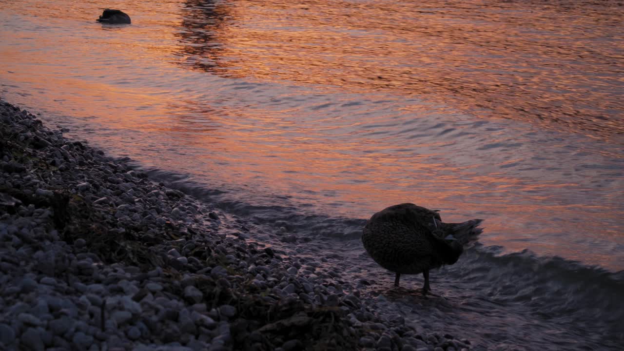 이탈리아 북부의 가르다 호수에서 장엄한 빛 효과가 있는 일몰 순간