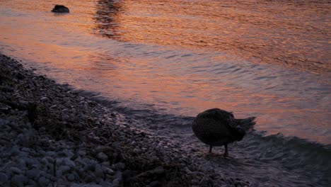 Sonnenuntergangsmomente-Mit-Majestätischem-Glanzeffekt-Am-Gardasee-In-Norditalien