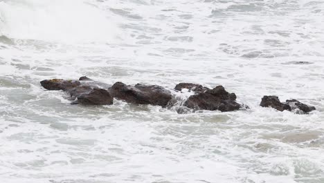 rough ocean waves crashing on rocks
