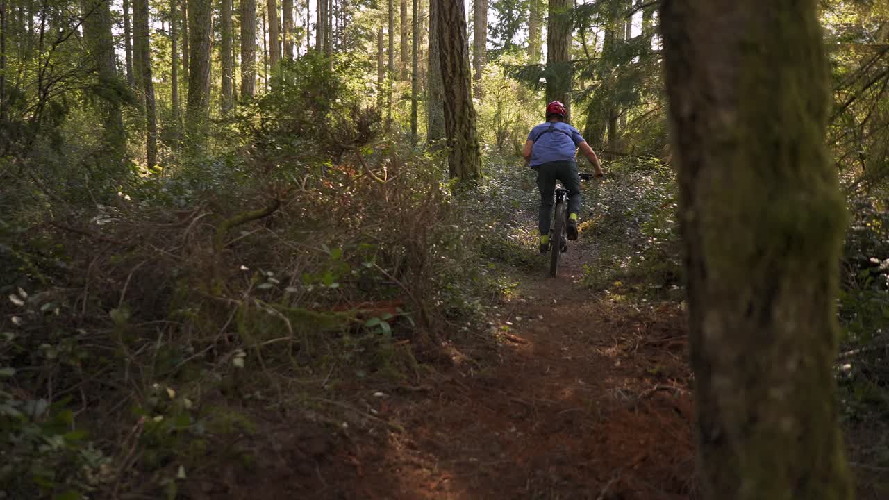 movimiento lento de motociclista de montaña montando hacia la cámara en un sendero en el bosque en la hora dorada