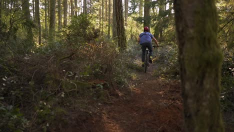 slow motion of mountain biker riding towards camera on a trail in the forest at golden hour