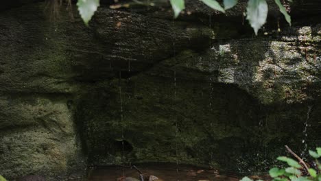 mountain spring water dripping from rocks into river, mt daisen, tottori japan