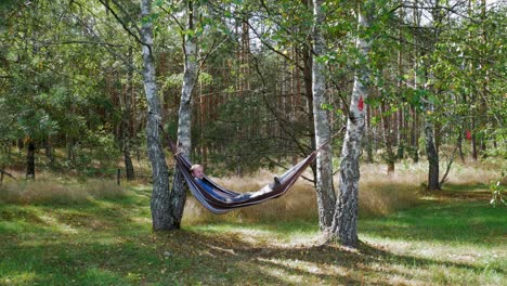 man swinging in a hammock enjoying the beauty of nature during sunny day in pradzonka forest, northern poland