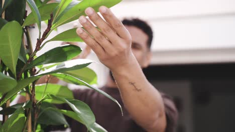 cheerful ethnic man spraying green plant on street