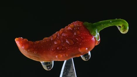 water drizzle sprayed on red chili pepper