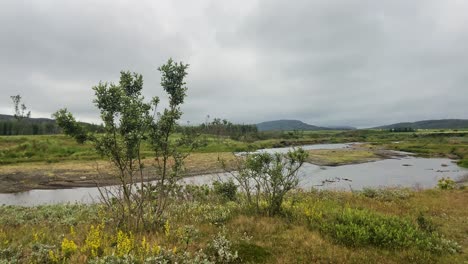 Green-landscape-and-river-flowing-in-Iceland,-moody-cloudy-day