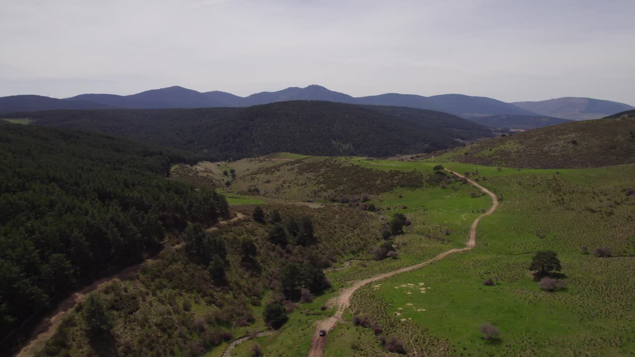 Aerial view of lush forest landscape with sandy path and tourist in off-road car exploring it summer