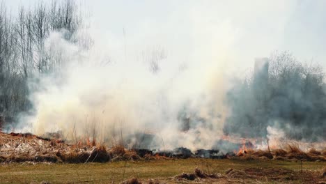 flames and smoke rise from dry grass during a controlled burn in a field, used for land management and vegetation control.