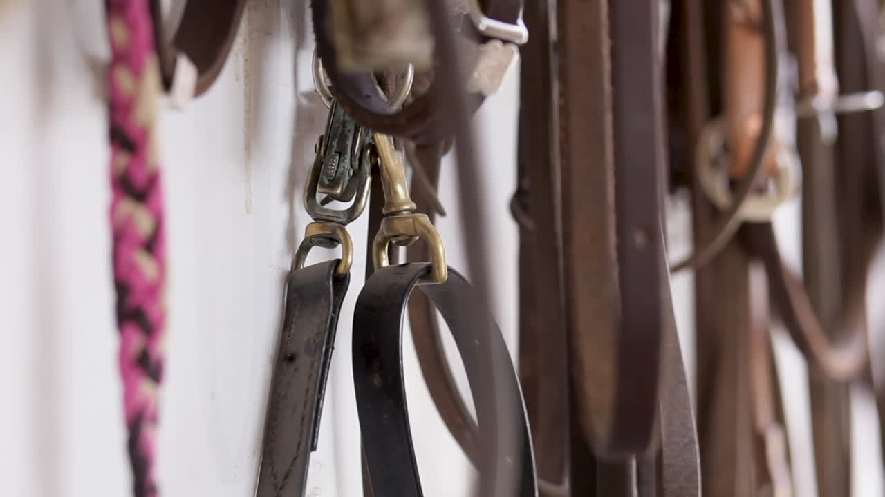 arneses soplan en la brisa