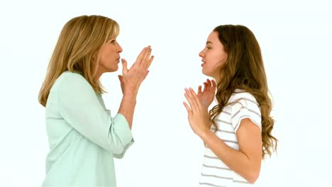 Mother-and-daughter-arguing