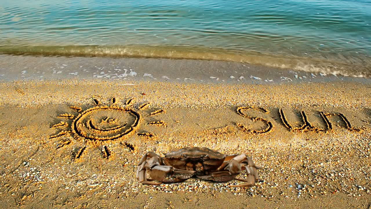 Crab and an inscription on sand, the beach. The drawing of the sun on sand