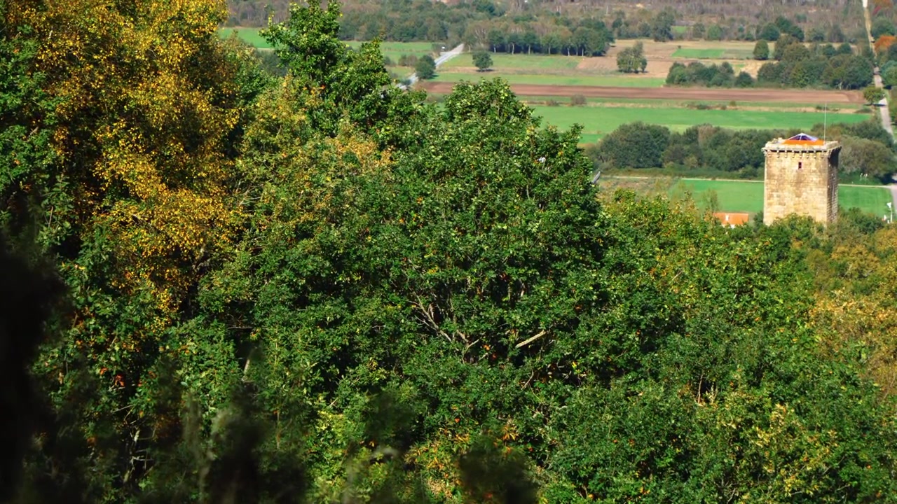 La Torre di A Forxa si erge oltre fitti alberi nella rurale Porqueira, Ourense, Galizia, Spagna