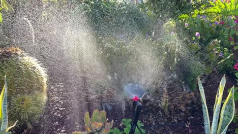 lawn irrigation system, lawn sprinkler for watering grass and flowers.