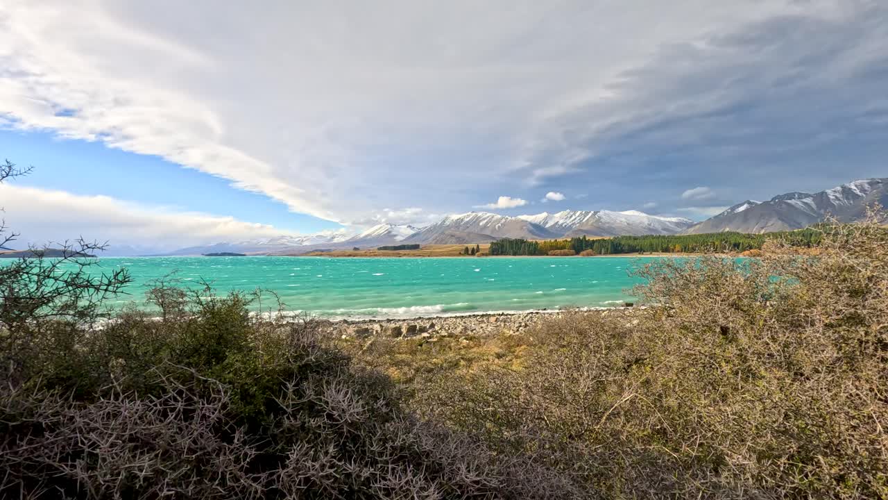 Wide panning shot reveals turquoise Lake Tekapo, thorny shrubs, and distant snow-capped mountains under dramatic clouds in natural daylight