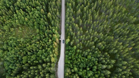 overhead view of an isolated vehicle running in forested country road at dalarna, sweden