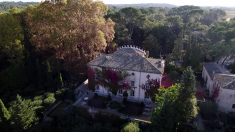 aerial establishing shot of autumnal trees and ivy surrounding a castle in france