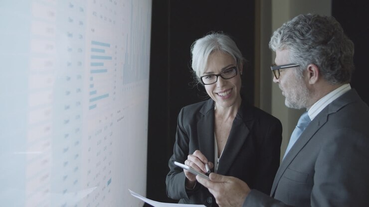 Female finance expert giving consultation to male investor