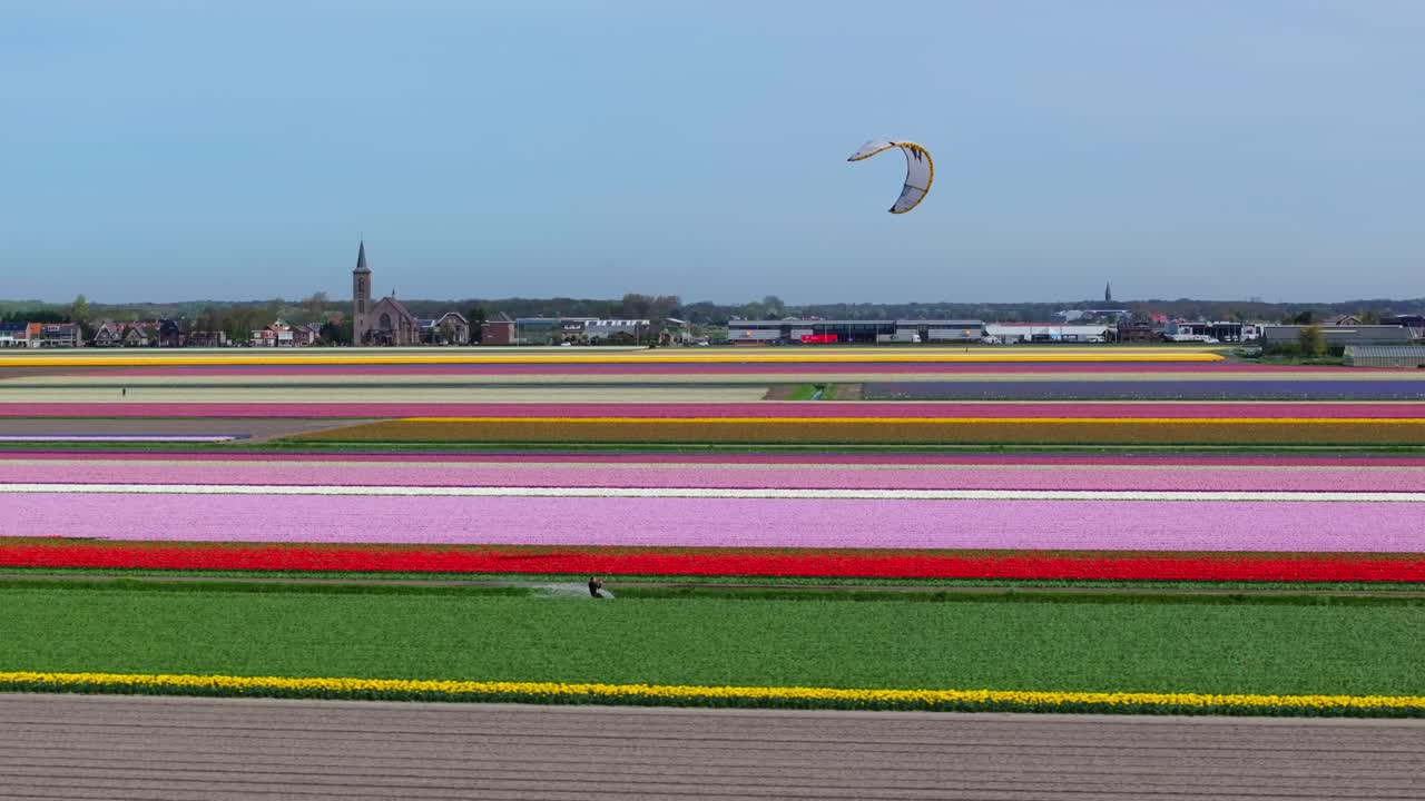 아름다운 다채로운 립 들 사이 의 운하 에서 카이트 서핑, 네덜란드