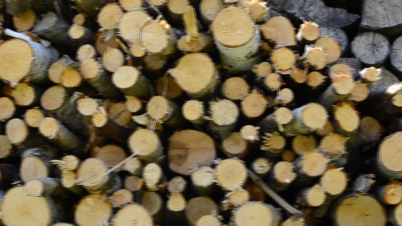 Shooting in the village. Slow motion. Firewood in the yard