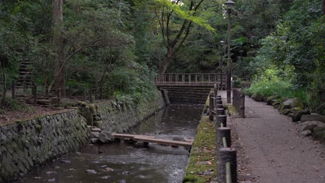 male hiker walking over bridge inside todoroki valley park in central tokyo