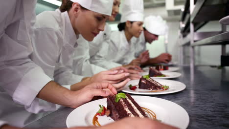 chefs standing in a row garnishing dessert plates