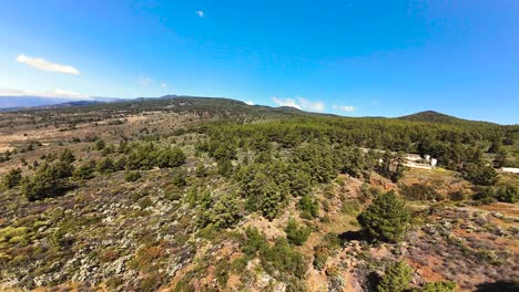 las barreras forest and hills under a sunny sky in tenerife, aerial view